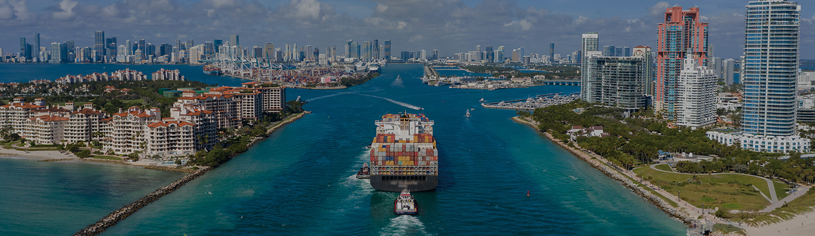 picture of miami skyline with cruise ship
