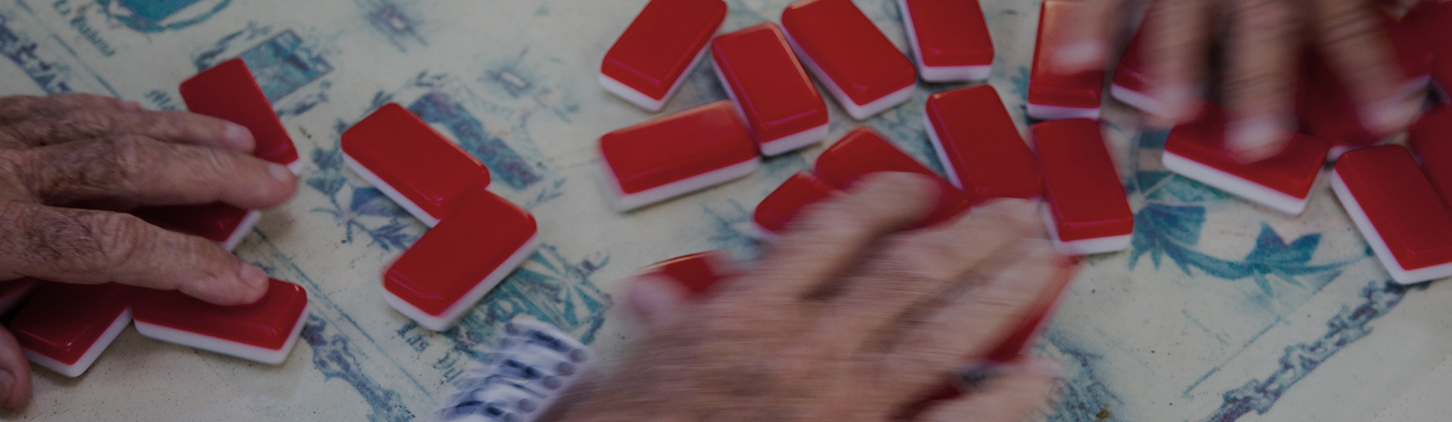 Playing Dominoes